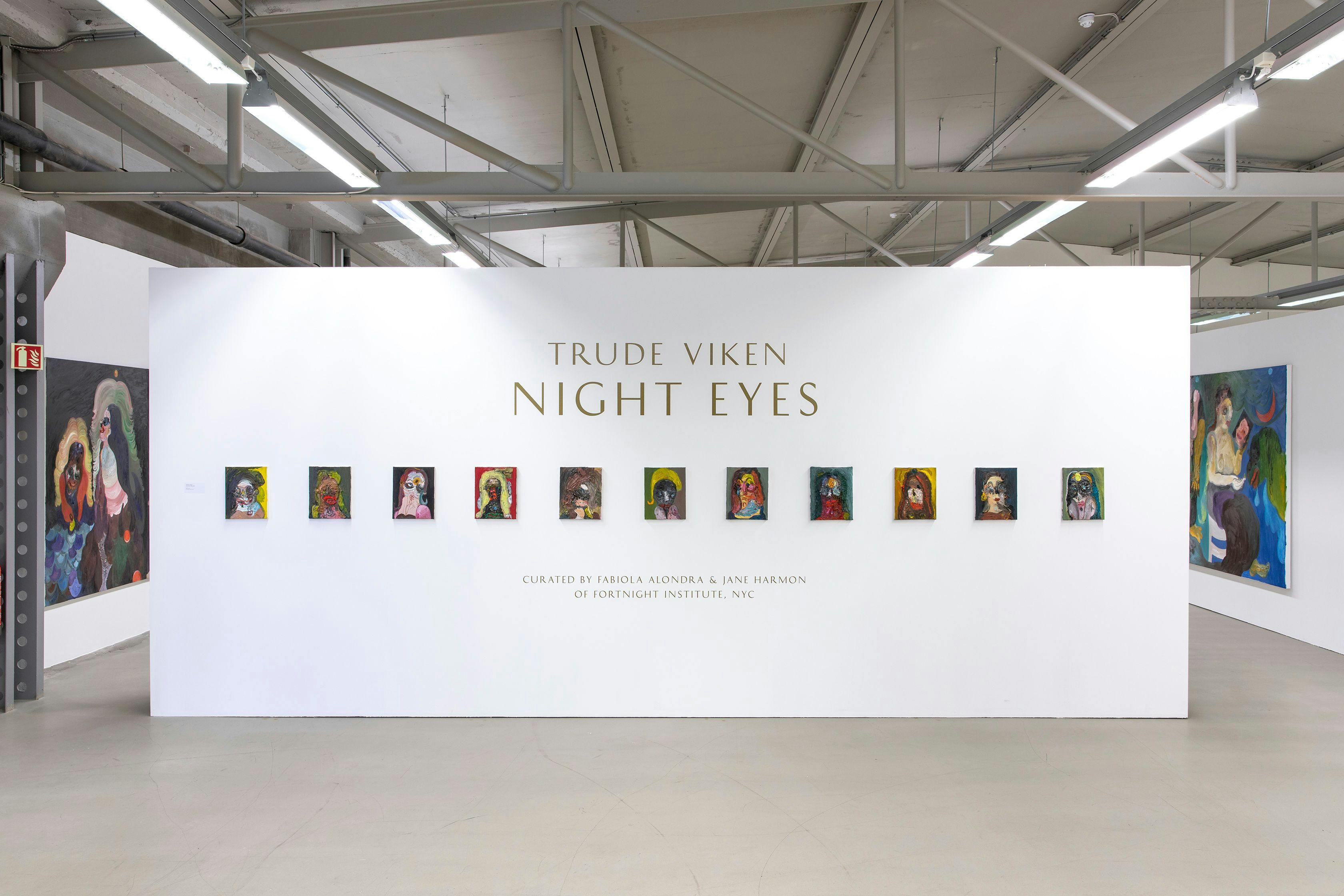 Installation photo from the exhibition TRUDE VIKEN: NIGHT EYES, 2021 / 01