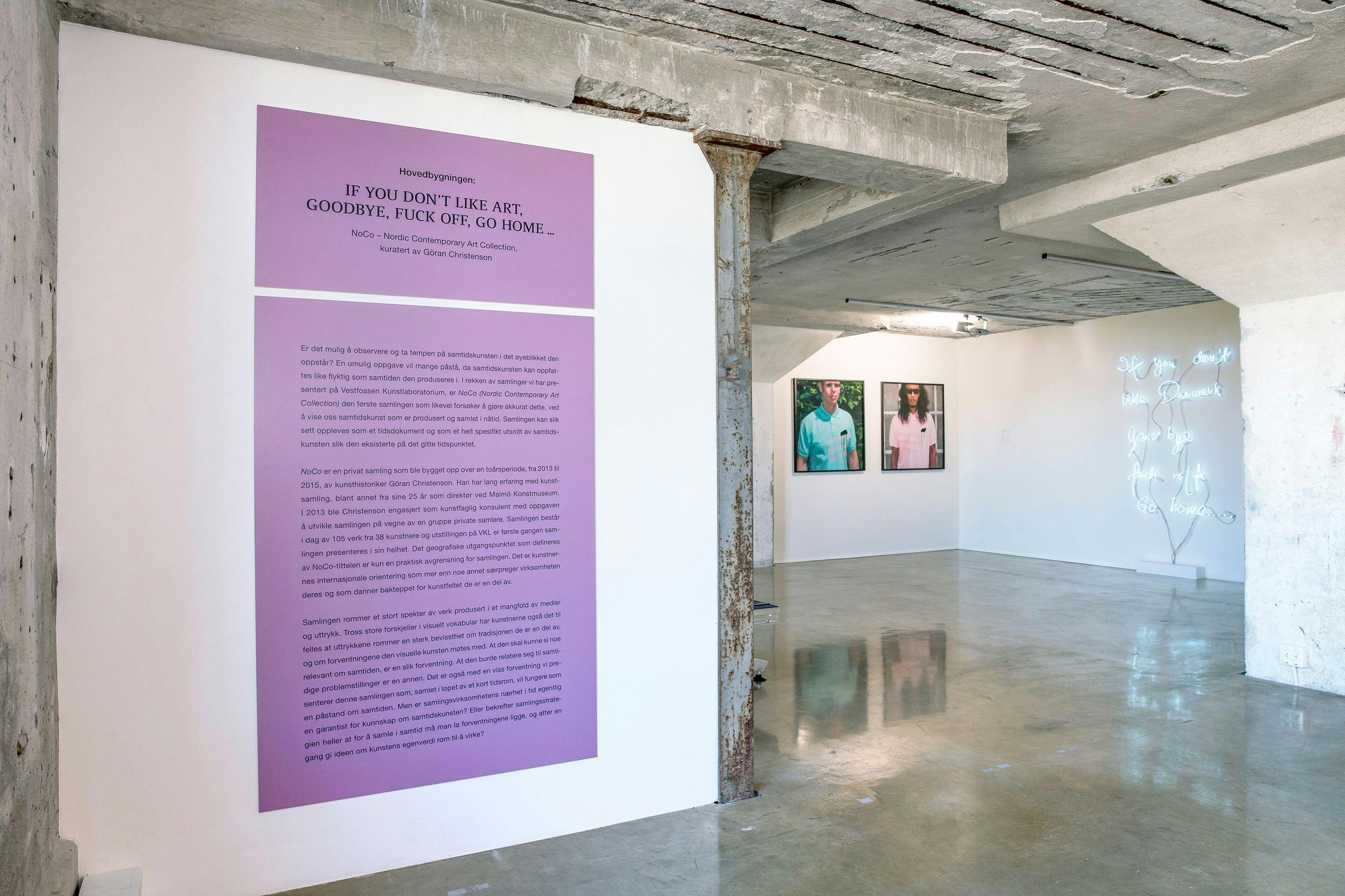 Installation view from the exhibtion 'IF YOU DON'T LIKE ART, GOOBYE, FUCK OFF, GO HOME…' (2017)