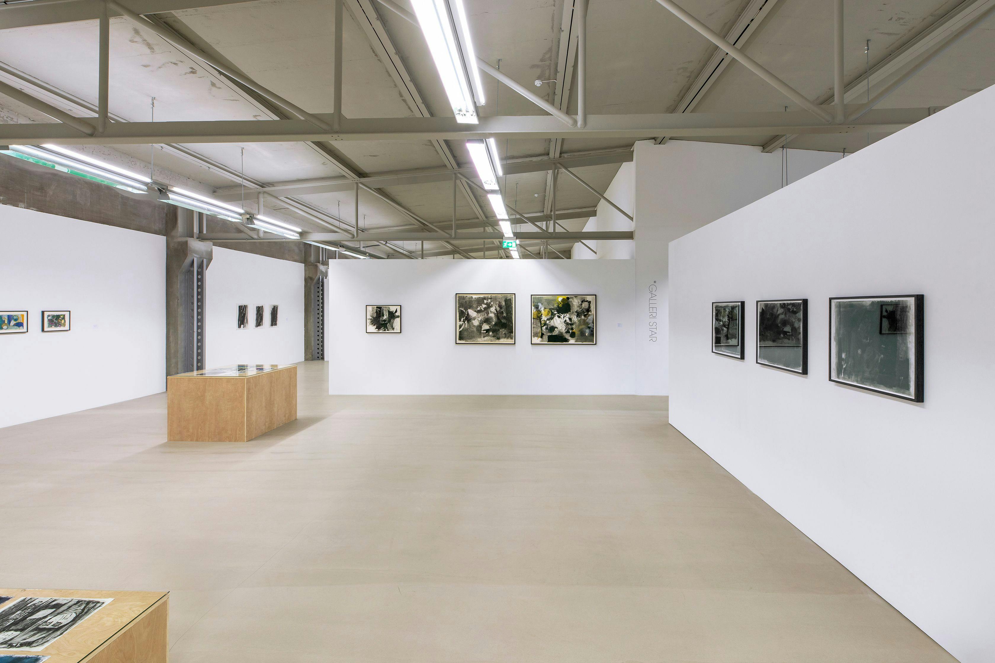 02_Exhibition photo, Aase Gulbrandsen, 2024